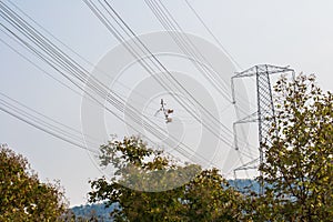 High Voltage Electricity Wires and Tower