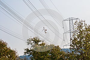 High Voltage Electricity Wires and Tower photo