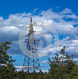 High-voltage lines against the blue sky, green pine forest. electricity