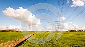 High voltage lines and power pylons in a Dutch agricultural land