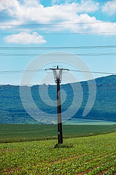 High voltage lines and power pylons in a green landscape on a sunny day with clouds in the blue sky