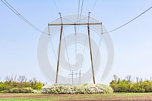 High-voltage P-shaped power transmission pillar in a field among flowering trees in spring