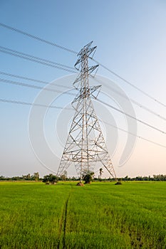 High voltage pole, Large transmission electric tower with cable on rice field with blue sky in countryside