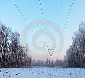 A high voltage pole surrounded by trees, in winter time