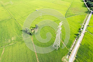 High voltage pole, Transmission tower, Electricity pylon, Electric power transmission located on rice field in the countryside