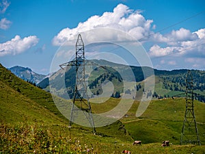 high voltage post power poles on a sunny summer meadow high voltage tower switzerland alps