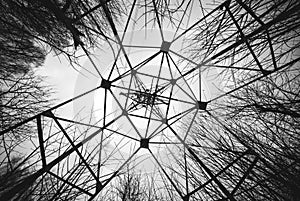 High voltage post up view with forest tree branches. Blackandwhite