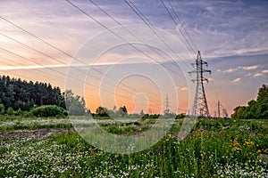 High voltage power line in flower meadow