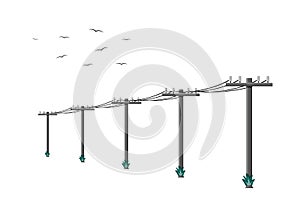 High voltage power lines connected with wires