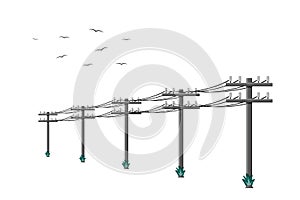 High voltage power lines connected with wires