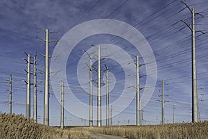 High Voltage Power Lines in Nature