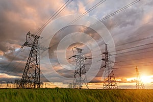 High-voltage power lines passing through a green field of wheat, on the background of a cloudy sky