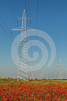 High-voltage power lines on the poppy fields of Crimea