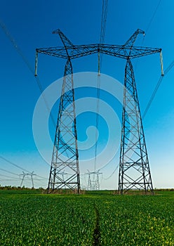 High-voltage power lines at sunset. greeb field