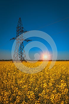 High-voltage power lines at sunset. greeb field