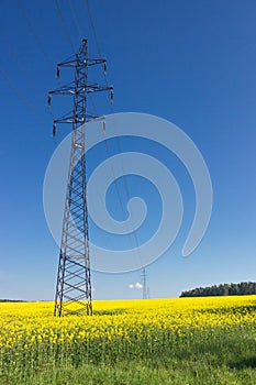 High-voltage powerline