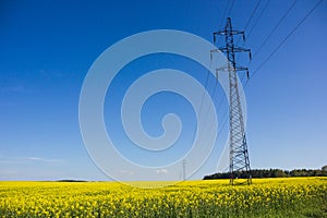 High-voltage powerline