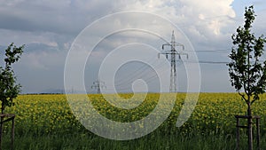 High voltage pylons. Field with flowering oilseed rape.