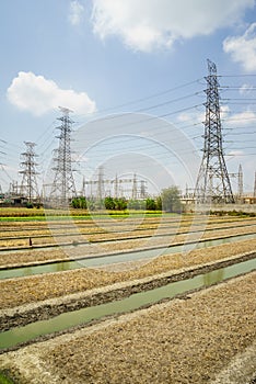 High Voltage Station and Vegetable garden