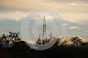 High voltage tower electric line cable with landscape nature trees in sunset time, Electric power lines Silhouette