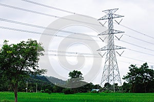 High voltage tower. Electricity post. Electric post. High voltage lines and power pylons in rice field