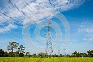 High-voltage tower on green rice field,Thiland