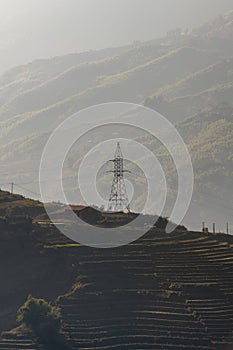 High voltage tower on rice fields