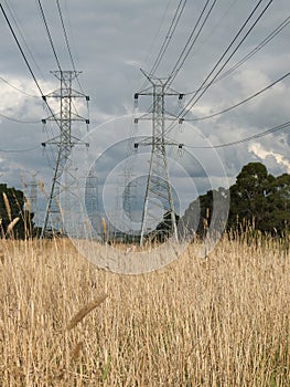 High voltage tower and wires through park land