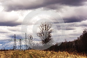 High-voltage towers stand in the forest area against the background of trees and gloomy clouds