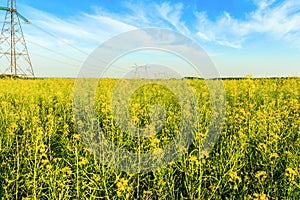 High voltage transmission towers in yellow field