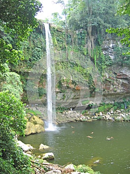 High watefall with the jungle
