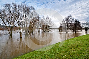 High water flood at elbe