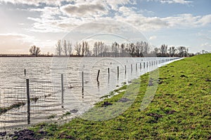 High water at the foot of a Dutch dike