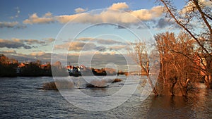 High water levels of the river Elbe in Magdeburg, Germany