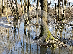 High water in the park \