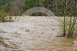 High Water Rapids on the Maury River