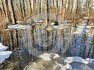 High water in the Solnechnaya Park in March. Moscow region, Balashikha city