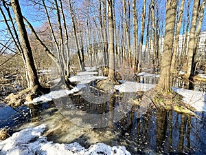 High water in the Solnechnaya Park in March. Moscow region, Balashikha city