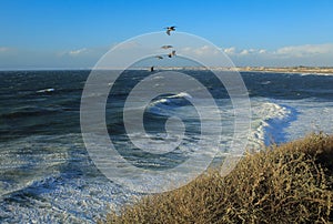 High Winds and Big Waves off the Palos Verdes Peninsula, South Bay of Los Angeles County, California