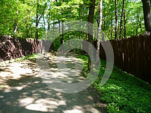 High wooden fence in a forest