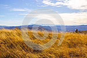 High yellow dry autumn grass, blue sky and mountains