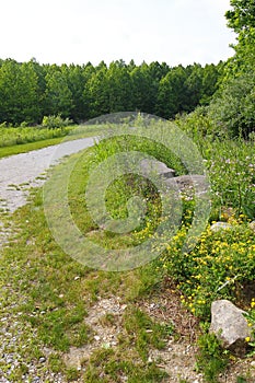 Highbanks Metro Park in Summer, Columbus, Ohio