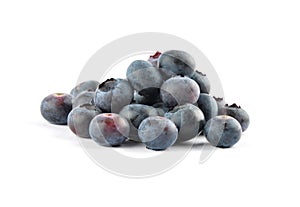 Highbush blueberry on white