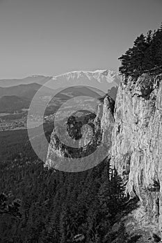 The highest mountain in Lower Austria / Schneeberg / Black and White / BW / Monochrome shot