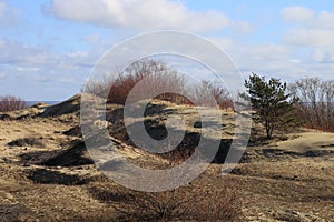 Curonian Spit and sand dunes on the height of Epha, Russia photo