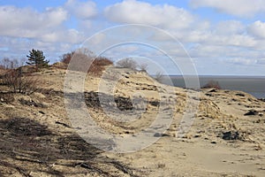 Curonian Spit and sand dunes on the height of Epha, Russia photo