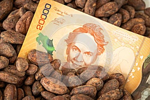 The highest quality cocoa seeds from a plantation in Costa Rica and a 20,000 colon banknote, Financial and economic concept, Cocoa