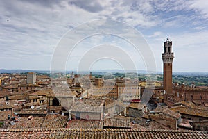 Tall tower torre del manja in siena