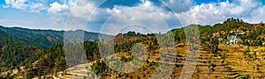 Highland agricultural fields of wheat in the Himalayas, Uttarakhand, India Panorama Landscape Photography