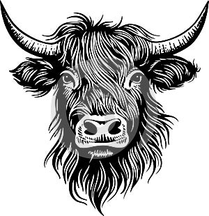 Highland cow - black and white vector illustration